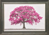 Bloom in Spring