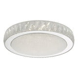 Flush Acrylic & Stainless Steel Large Led
