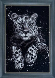 Leopard Black & White