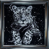 Cheetah Black & White