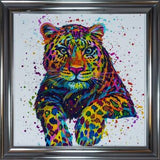 Cheetah Colour Splash