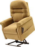 Petite Electric Style Upholstered
