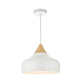 GAU0102 1 Light Pendant White