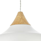 1 Light Pendant White