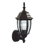 HAM162235 Outdoor Wall Light Black/Gold Glass Ip43