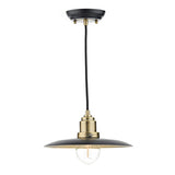 1 Light Pendant Black Antique Brass