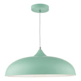 KAE0124 1 Light Pendant Matt Pale Green