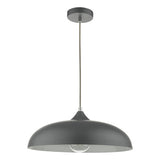 1 Light Single Pendant Graphite