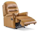 Petite Rechargeable Powered Recliner
