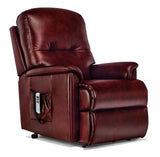 Royale 2-motor Electric Riser Recliner