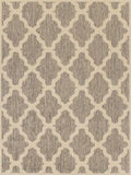 Rug Grey