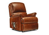 Standard 1-motor Electric Riser Recliner
