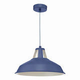 OWA0123 1 Light Pendant Blue