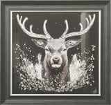 Spirit of the Glen B&W
